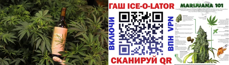 Canna-Cookies марихуана  Сунжа 
