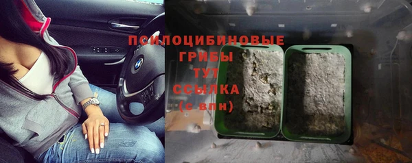 мескалин Арсеньев